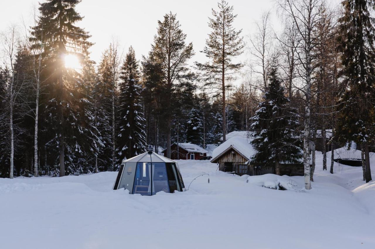 Ollero Eco Lodge Rovaniemi Exterior photo